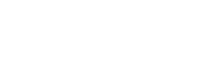 Liz Stimson Logo